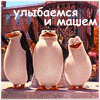 alenacpravedlivay