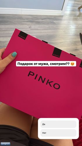 Вместо кота Иосиф Оганесян подарил на день рождения Саше Черно сумку