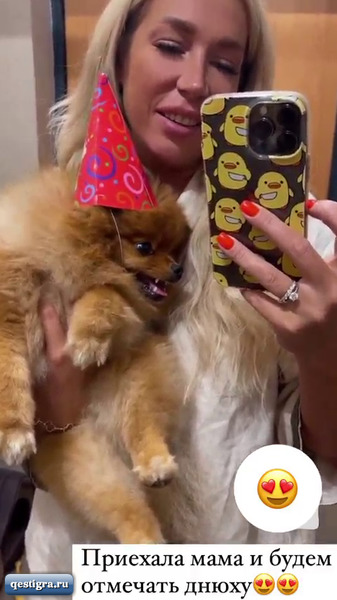 Надежда Ермакова отметила день рождения своей собаки