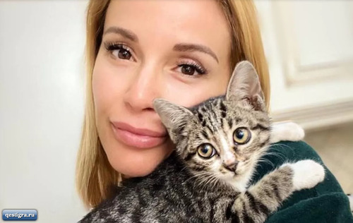 Ольга Орлова потратила 250 тысяч на лечение кошки Сони