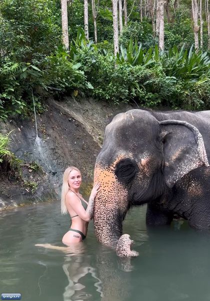 Милена Безбородова съездила на экскурсию со слонами