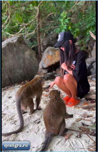 Желание Кристины Бухынбалтэ завести обезьянку высмеяли в сети