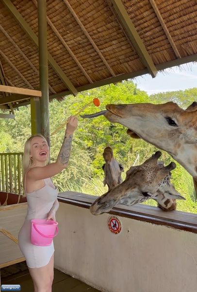 Милена Безбородова покормила жирафов и тигров